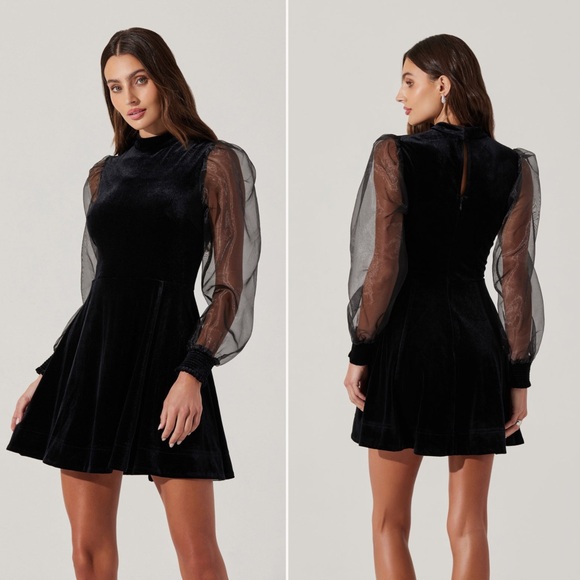 Astr Dresses & Skirts - NWT | Astr | Velvet Sheer Puff Sleeve Dress | Sz L